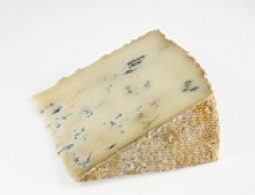Cheeses of the world - Bleu de chèvre 